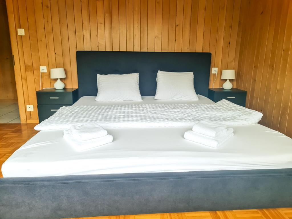 Abendberg Apartment - Aare Jungfrau Ag Вилдерсвил Екстериор снимка